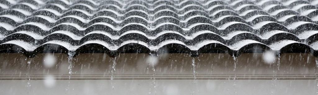 Hail Damage Roof Insurance Claim in Fort Collins