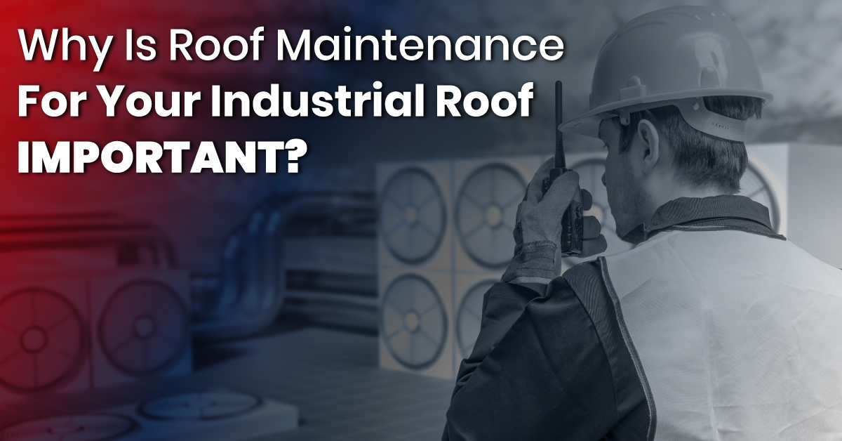 Why Is Roof Maintenance For Your Industrial Roof Important?