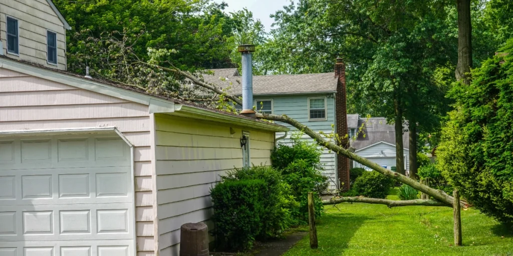A fallen tree resting on a residential roof after a windstorm, showing structural damage to the shingles and gutters.