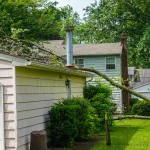 A fallen tree resting on a residential roof after a windstorm, showing structural damage to the shingles and gutters.