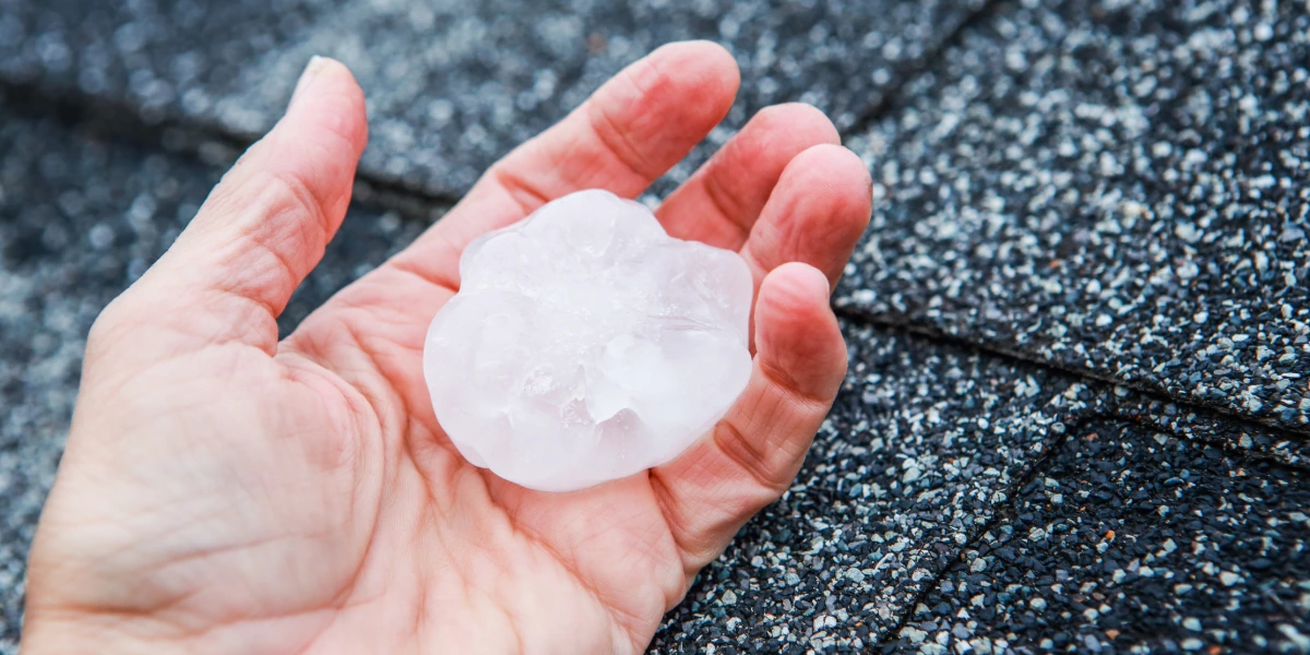 Hand holding a large hailstone over an asphalt shingle roof.